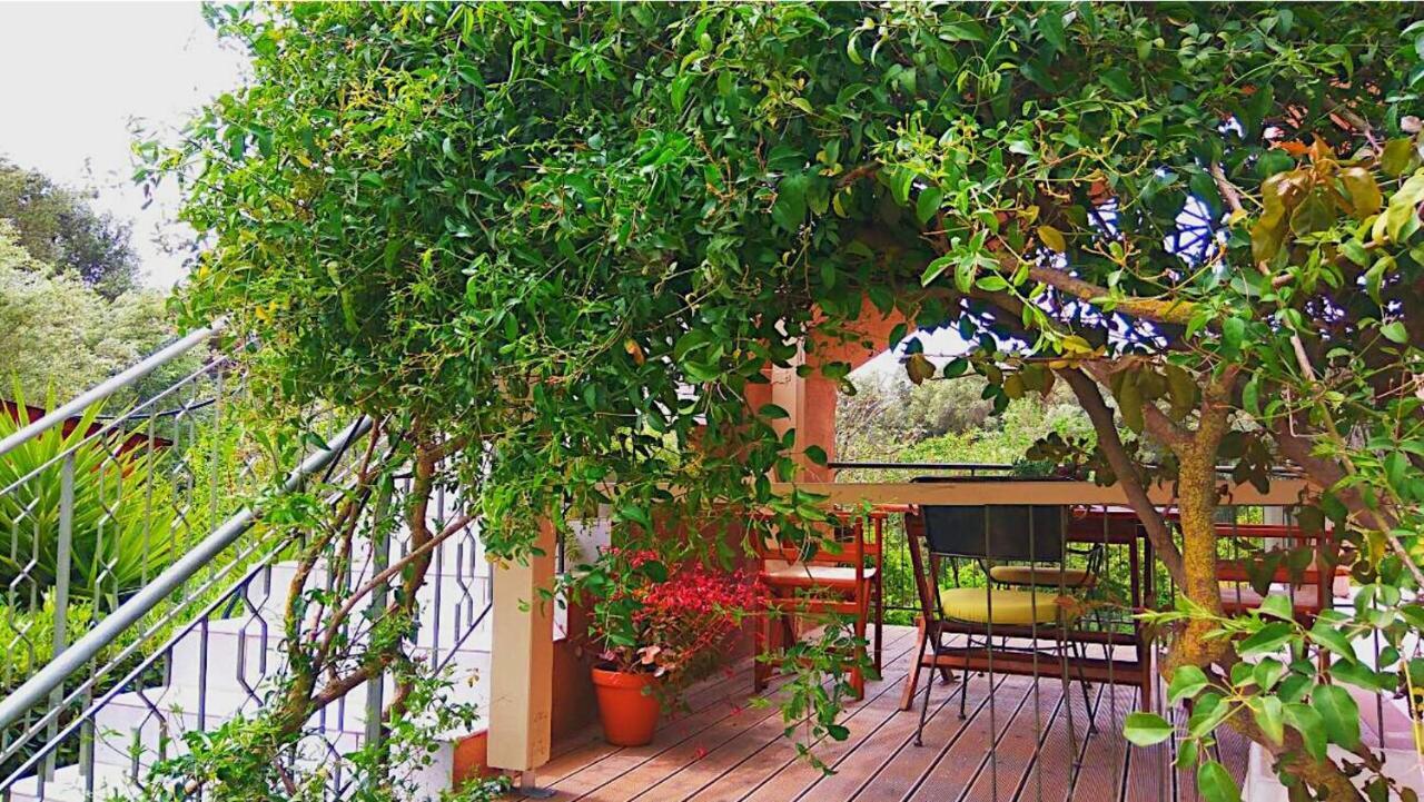 Kefalonia Apartments - Marias Studios - 2 Bedroom Apartment In Orchard, Spartia ภายนอก รูปภาพ